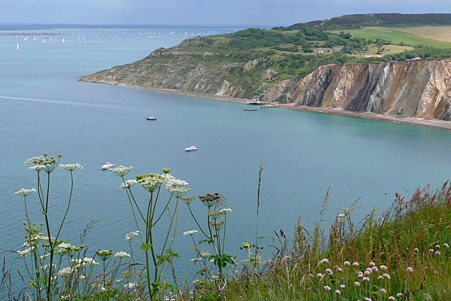 Hatherwood Point and Alum Bay geograph.org.uk