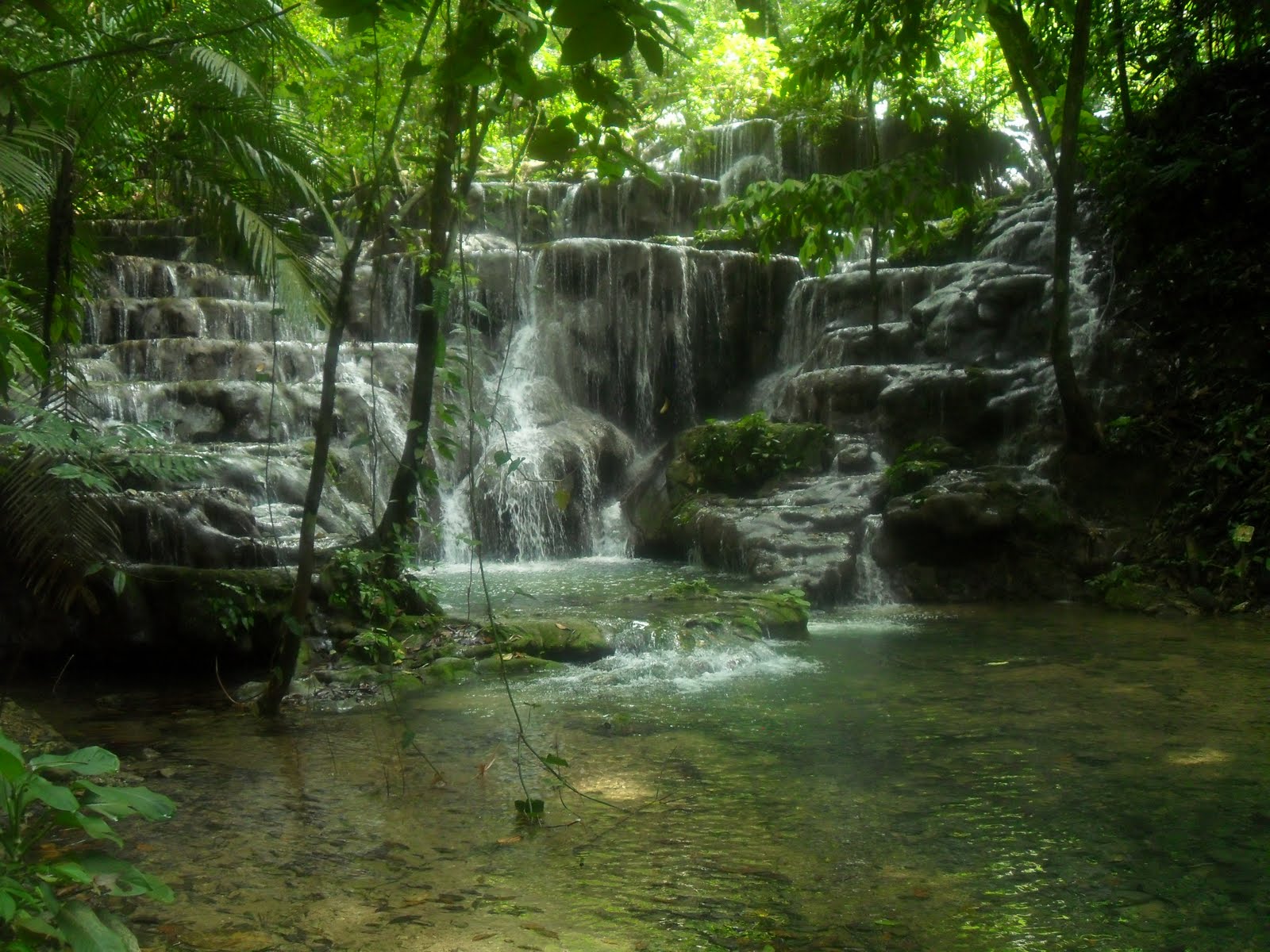 Touring the mexican jungle