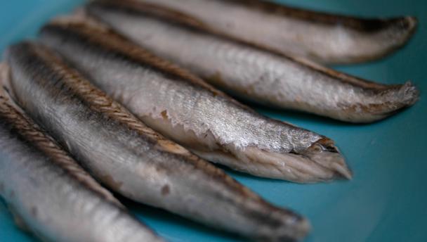 Anchovy 16x9