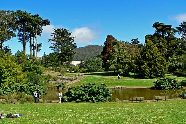 640px San Francisco Botanical Garden Great Lawn