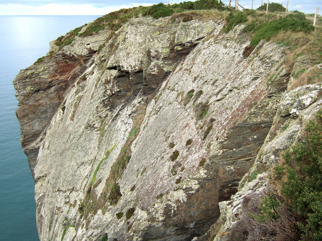 Godir y gwyddau geograph.org.uk 271795.jpg